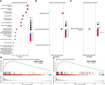 Four methylation-driven genes detected by linear discriminant analysis model from early-stage colorectal cancer and their methylation levels in cell-free DNA